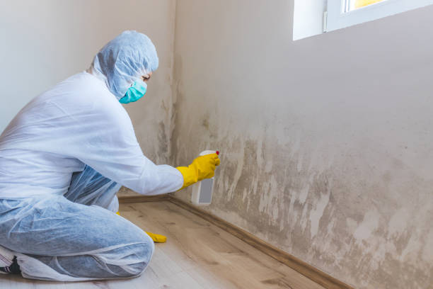 Mold inspector in Manchester performing thermal imaging